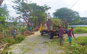 Penebangan Pohon di Jalan Telkom Sekitar Taman Masigi Dimulai Hari Ini